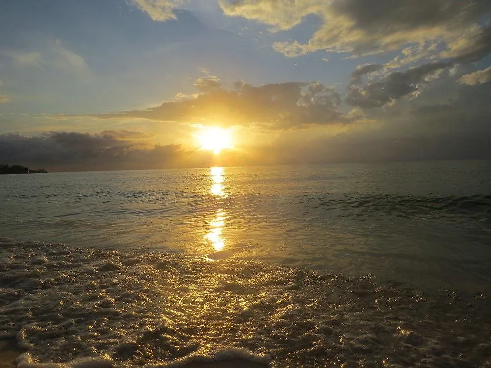 A Piece Of Paradise Montego Bay Hotel