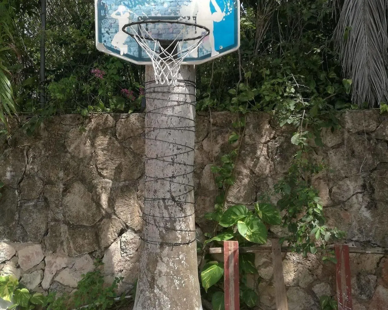 Hotel A Piece Of Paradise Montego Bay